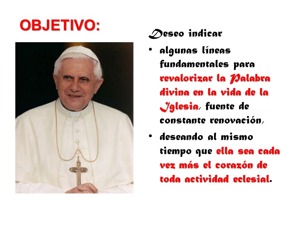 exhortacion apostolica verbum domini